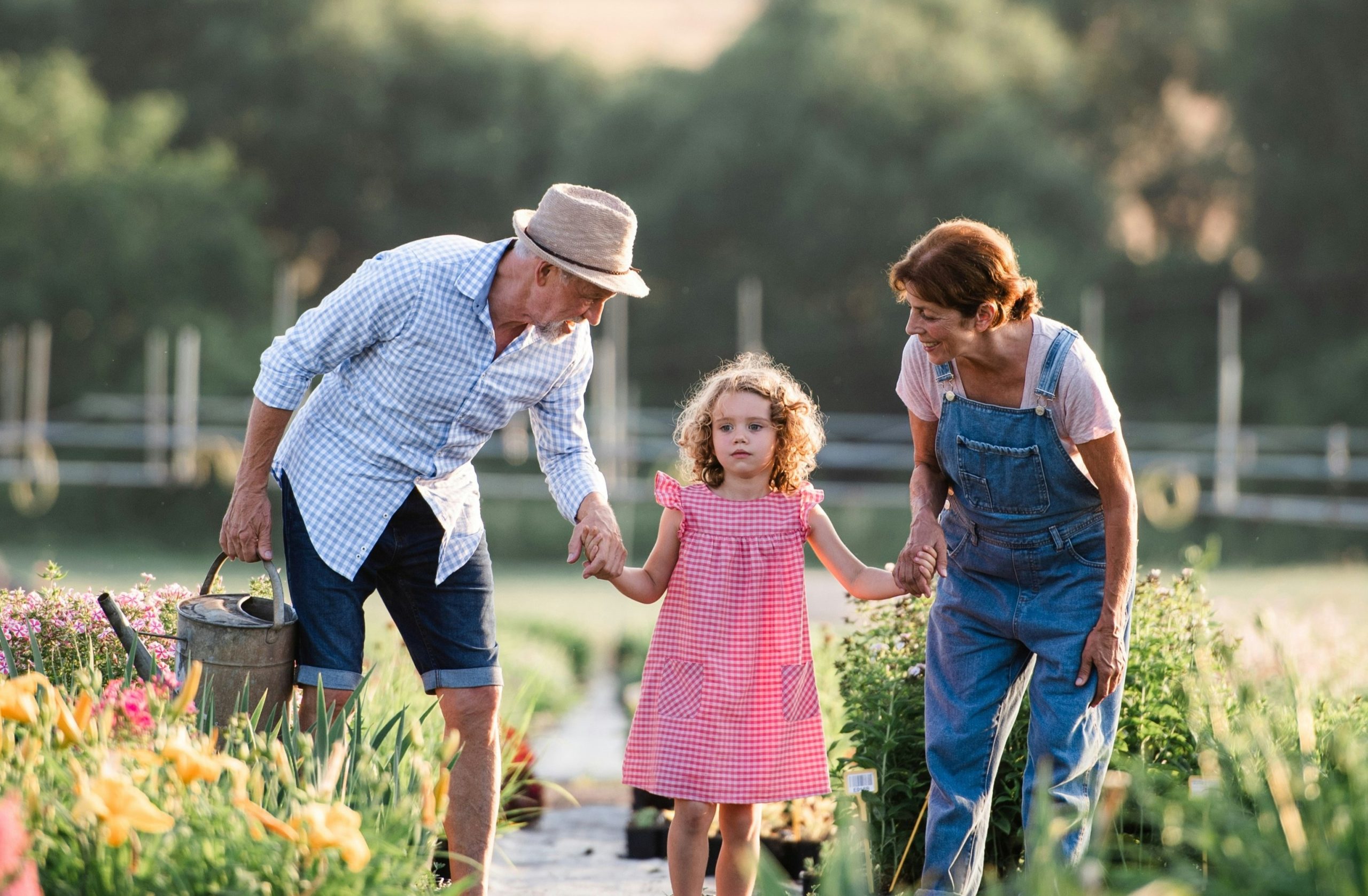 Assurance Vie et Capitalisation : le duo incontournable pour optimiser la fiscalité de la transmission  